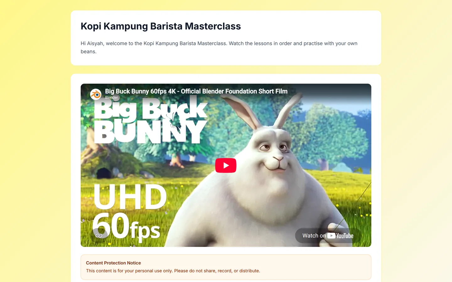 The unlocked video course, open only for the paying buyer